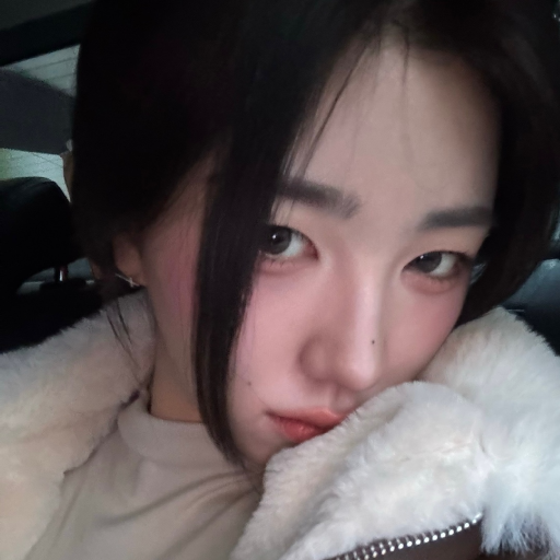 Park SoHyun gallery image