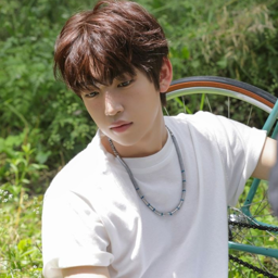 Kim Minjae gallery image