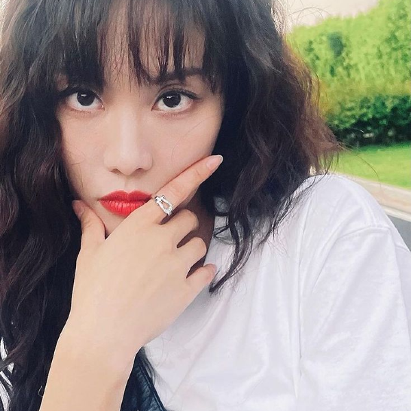 Fei的图库图片