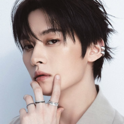 Lee Know gallery image