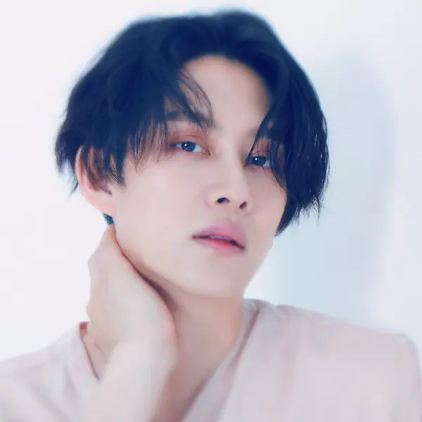 Heechul gallery image