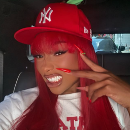 Megan Thee Stallion gallery image