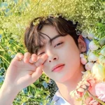 Cha Eunwoo
