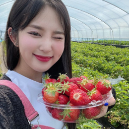 Songsun gallery image