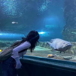 Seulgi gallery image