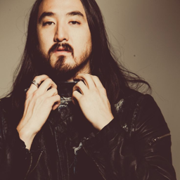 Steve Aoki gallery image
