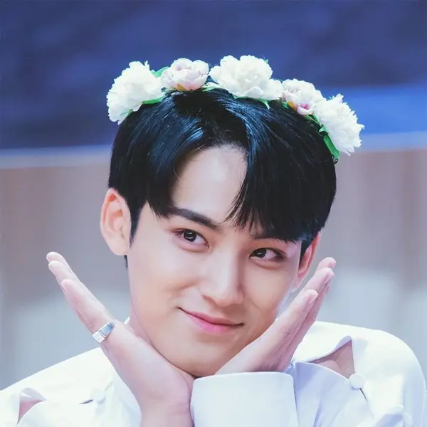 Mingyu gallery image