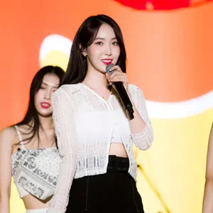 SinB gallery image