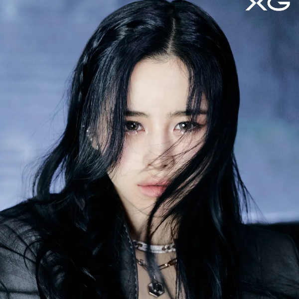 Harvey gallery image