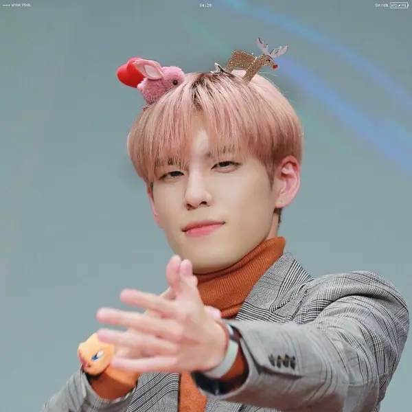 Wonpil gallery image