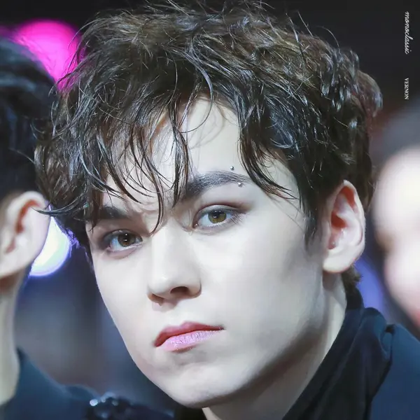 Vernon gallery image