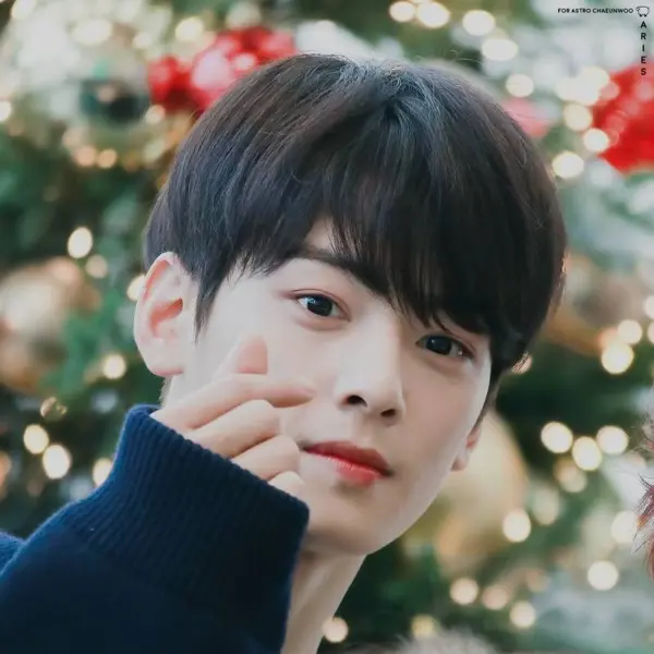 Cha Eunwoo