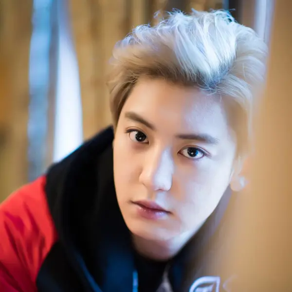 Chanyeol gallery image