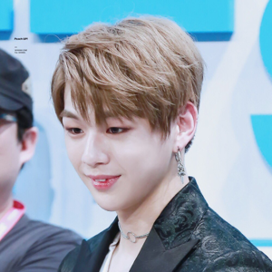 Daniel gallery image