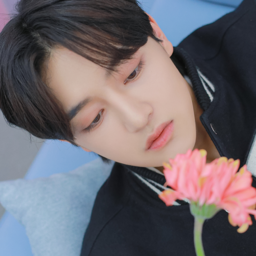 Hikaru gallery image