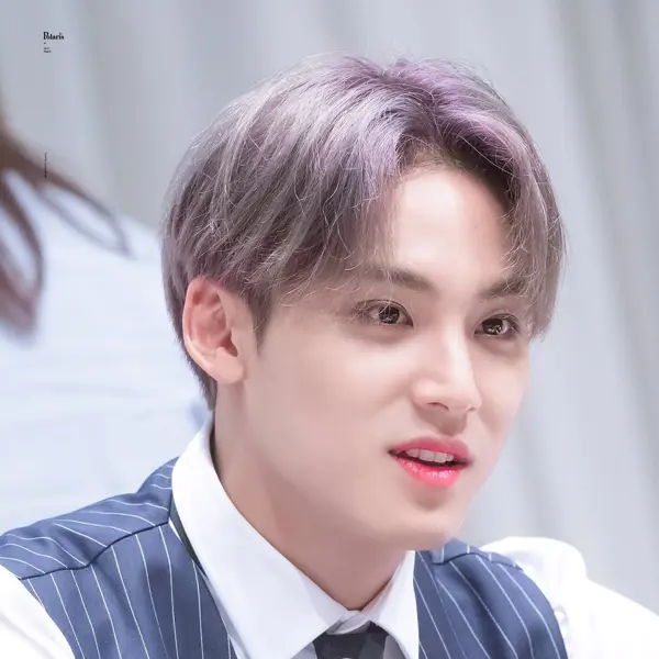 Mingyu gallery image