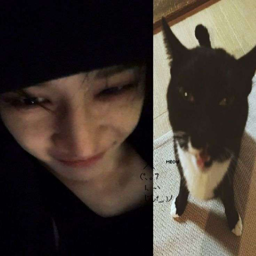 Bang Chan gallery image