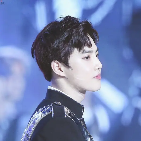 Suho gallery image