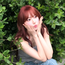 Sakura gallery image