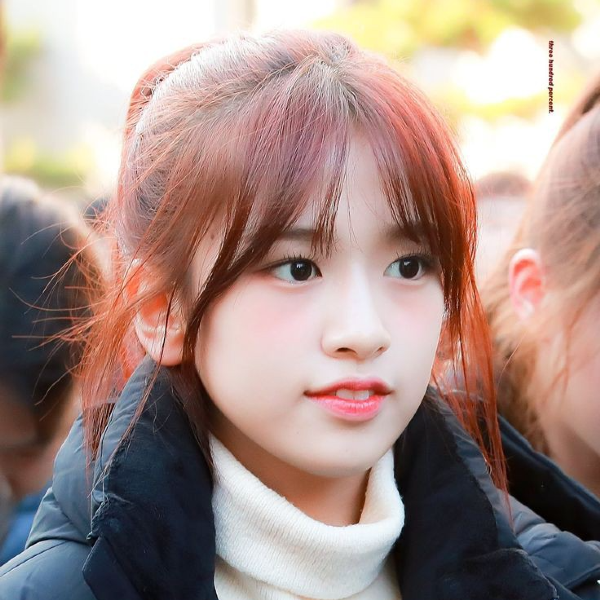 Imagen de la galería de Yujin