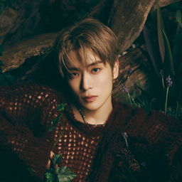 Jaehyun gallery image