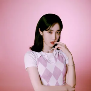 SinB gallery image