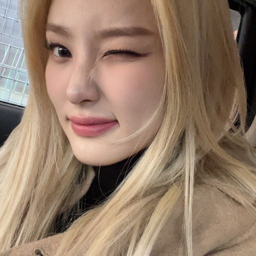 Sangah gallery image