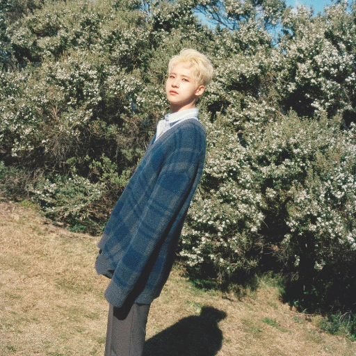 Shin Dongwoo Galeriebild