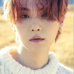 SUGA photo