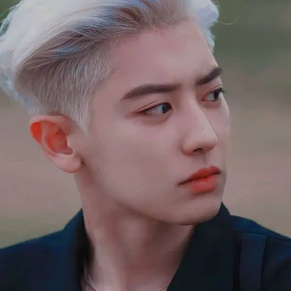 Chanyeol gallery image