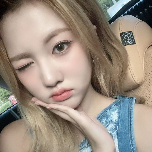 Jia的图库图片