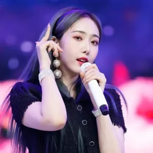 SinB gallery image