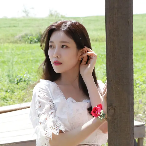 Da Won gallery image