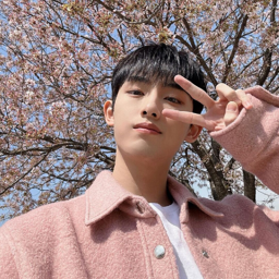 Winwin gallery image