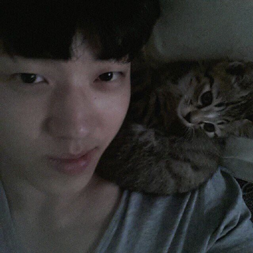 Dowoon galerijafbeelding