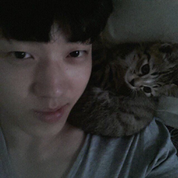 Dowoon gallery image