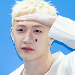 Bang Chan gallery image