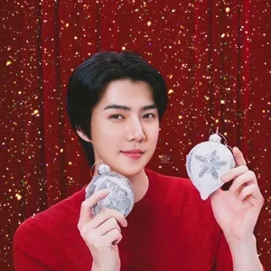 Sehun gallery image