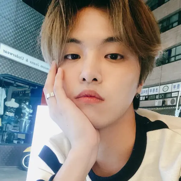 Hajoon 갤러리 이미지