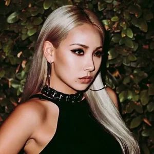 CL gallery image