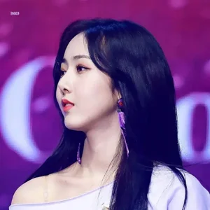 SinB gallery image