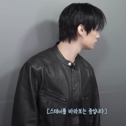 Lee Know gallery image