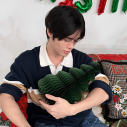 Prince gallery image