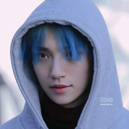 Joshua gallery image