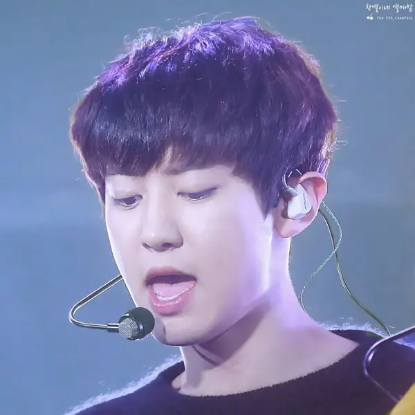 Chanyeol gallery image