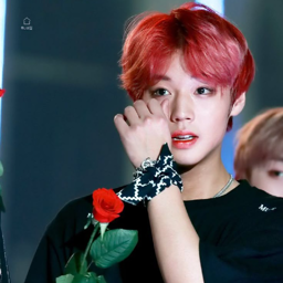 Jihoon gallery image