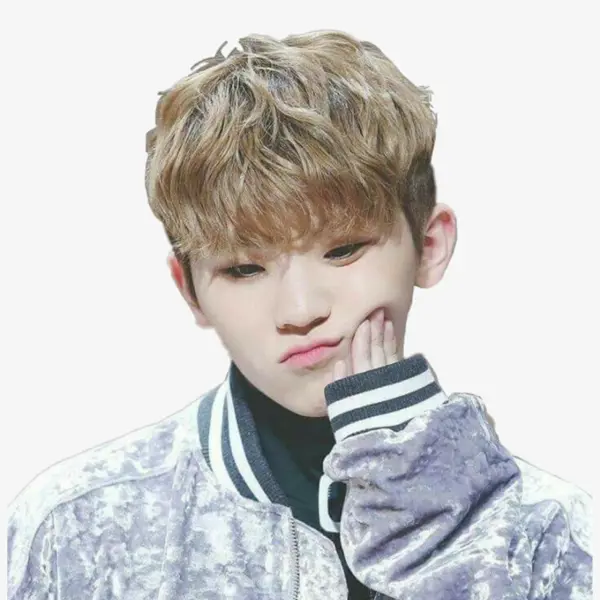 Woozi gallery image