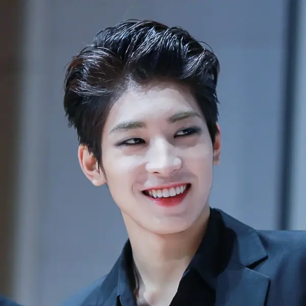 Wonwoo gallery image