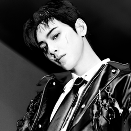 Cha Eunwoo gallery image