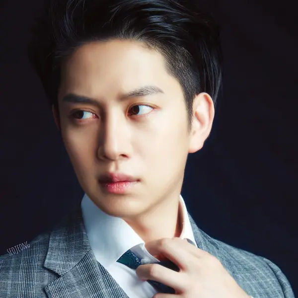 Heechul gallery image